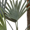 Potted Statement Palm 1580mm