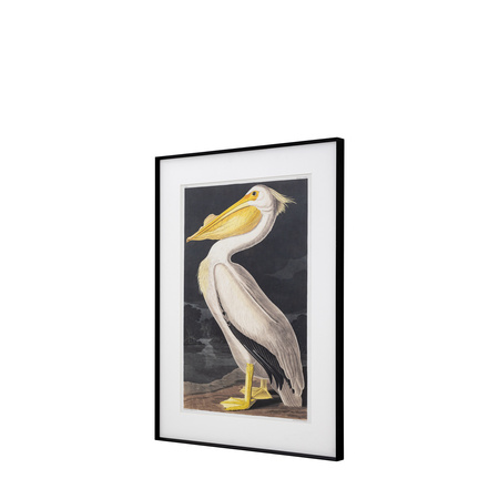 Pellicano Framed Art 600x900mm