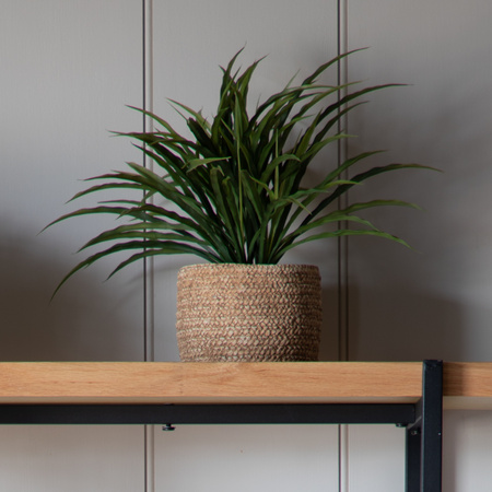 Dzika trawa w ziemi, zielona, wysokość 300 mm