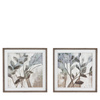 Foliage & Form Framed Canvas Set of 2