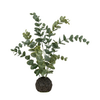 Eukaliptus w ziemi, ciemnozielony, wysokość 460 mm