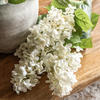 Vintage Cone Hydrangea Floral Stem Ivory (12pk)