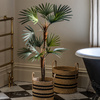 Potted Statement Palm 1580mm