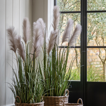 Potted Grass with Pampas Seed Heads 1570mm