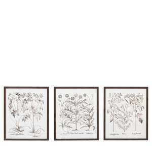 Obraz w ramie „Evergreen” – czarny, 50 × 3 × 60 cm, zestaw 3 szt.