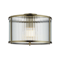 Ridgeton 1 Ceiling Light