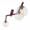 NATON 3 BURGUNDY TRANSPARENT