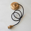 Eltham 1 Pendant Light Brushed Aged Brass/Black