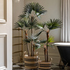 Potted Statement Palm 1170mm