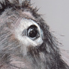 Reggie Framed Canvas 550x27x650mm