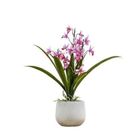 Potted Cymbidium Orchid (real touch) Pink H410mm