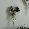 Wall Planter with Agave Succulent mix H380mm