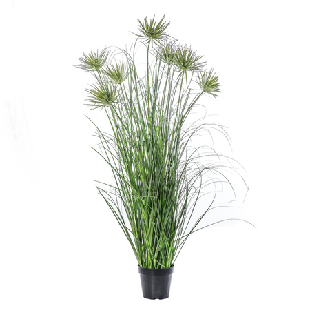 Potted Grass w/7 Flowers 450x450x1200mm