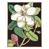 Laurel Tree Framed Canvas 900x30x1200mm