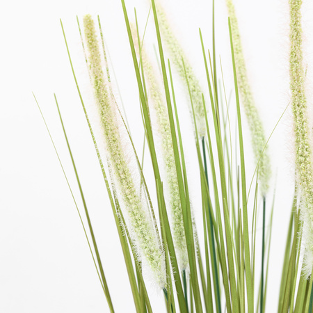Potted Grass with Feathered Wildflower