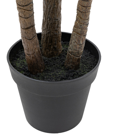Potted Statement Palm 1580mm