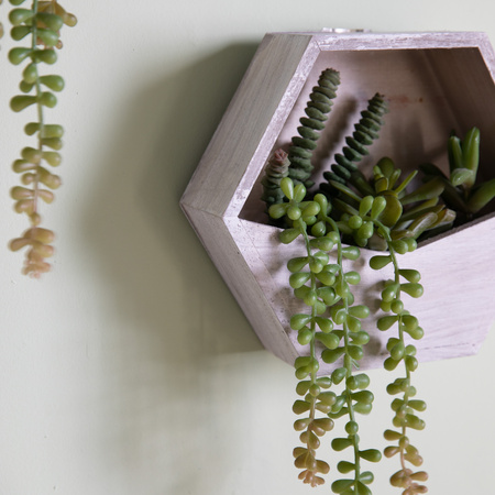 Wall Planter with Sedum Succulent mix H380mm
