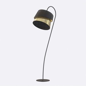 CANVA LP1 BLACK GOLD