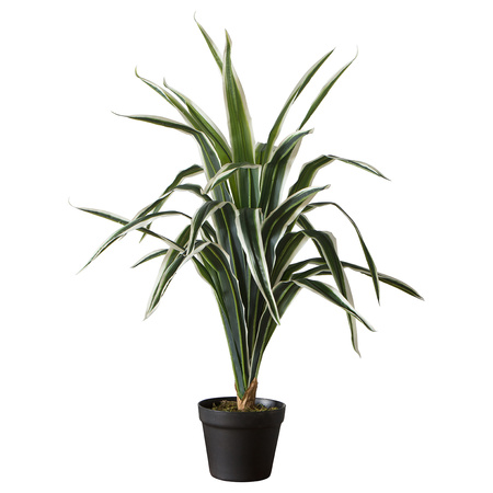 Faux Dracaena 800mm