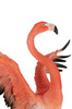 KARE dekoracja stojąca FLAMINGO ROAD FLY