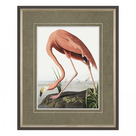 Vintage Flamingo Small Framed Art 540x30x440mm