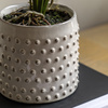 Orchid Orange in White Ceramic Dot Pot 400mm