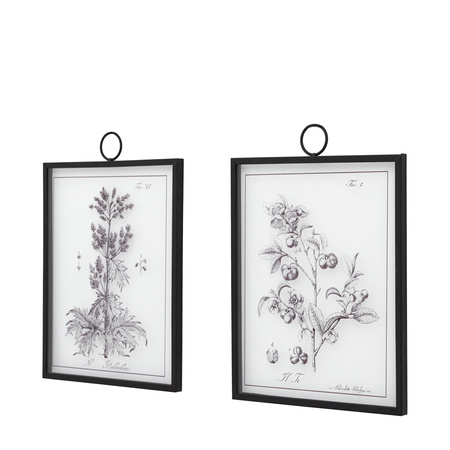 Petiole Framed Art Set of 2