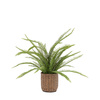 Potted Fern Plant 980mm