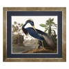 Louisiana Heron Framed Art 880x10x760mm