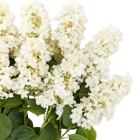 Vintage Cone Hydrangea Floral Stem Ivory (12pk)