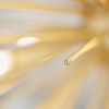 Orta Pendant Light