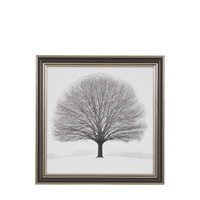 Silent Beauty Framed Art 820x38x820mm
