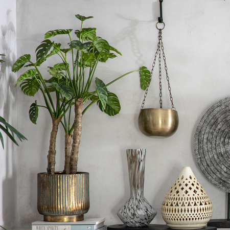 Potted Monstera Green H780mm