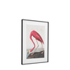 Obraz w ramie „Wading Flamingo” – różowy, 60 × 3,5 × 80 cm