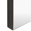 Tokyo Leaner Mirror Black 500x50x1700mm