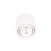 MAXLIGHT C0256 LAMPA SUFITOWA FIX 6W BIAŁA
