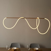 Attalea 1 Pendant Light 450-1740x1200x200mm