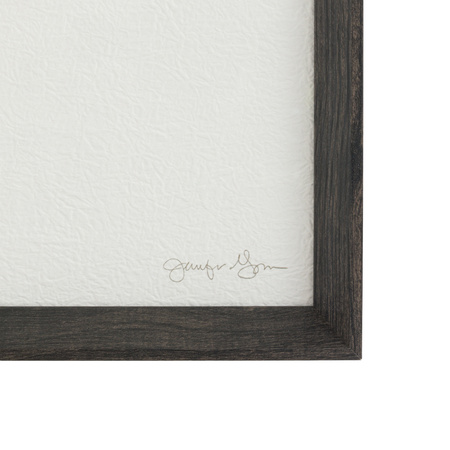 Delicate Nature Framed Art Set of 2