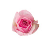 Pink Mixed Wrapped Bouquet 210x310x750mm