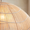 Misra 1 Pendant Light