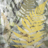 Wild Wonder Framed Canvas 600x30x800mm