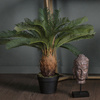 Faux Cycad 620mm