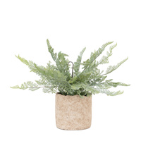 Potted Fern 350mm