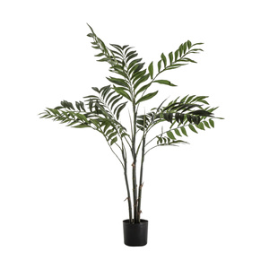 Palma areca mała 710 x 710 x 910 mm