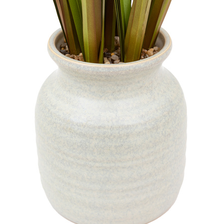 Potted Grass with Feathered Wildflower