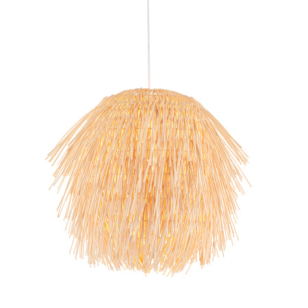 Pushpa 1 Pendant Light