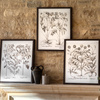 Evergreen Framed Art Set of 3