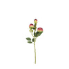 Faux Stem Vintage Rose Claret 540mm (6pk)