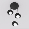 FLORA 3PREM BLACK OPAL