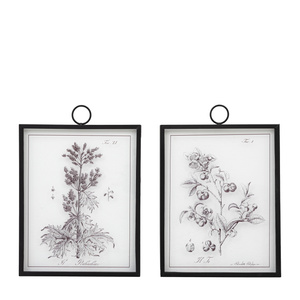 Petiole Framed Art Set of 2